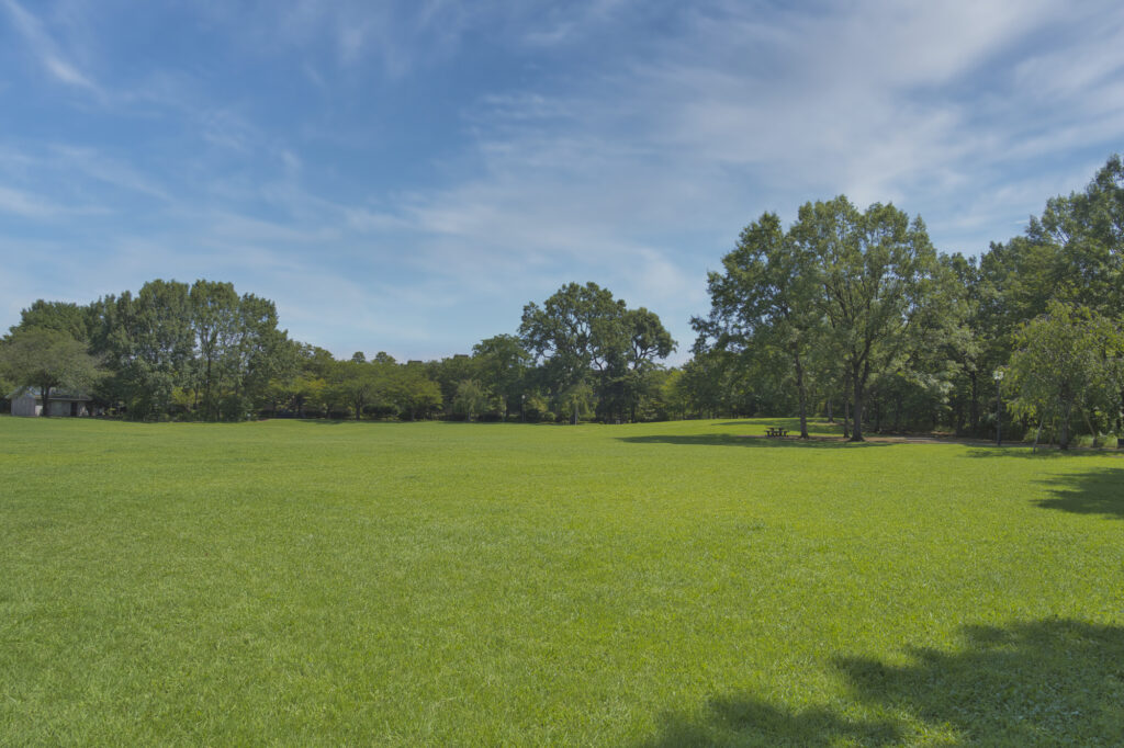 公共公園